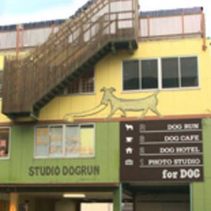 STUDIO DOGRUN（スタジオドッグラン）